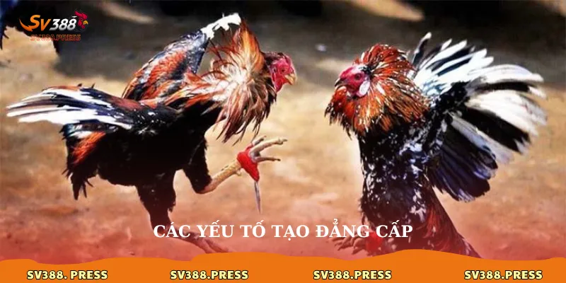 Các yếu tố tạo đẳng cấp