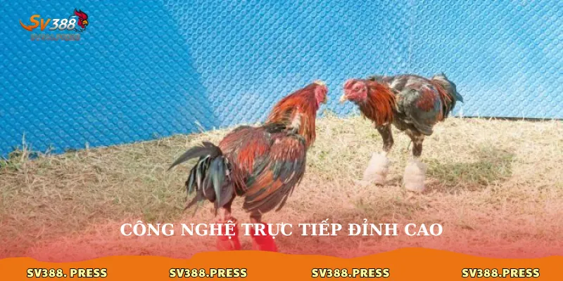 Công nghệ trực tiếp đỉnh cao