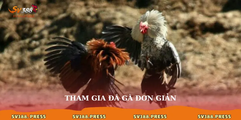 Tham gia đá gà đơn giản