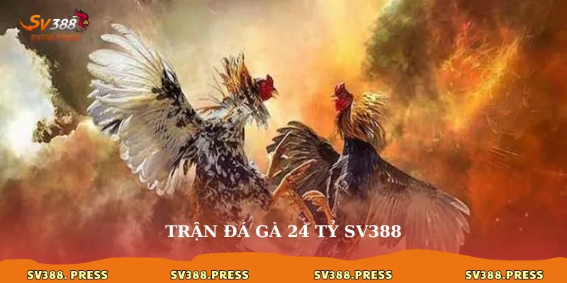 Trận đá gà 24 tỷ: Huyền thoại một thời và sức hút tại sv388 1 tran-da-ga-24-ty-sv388