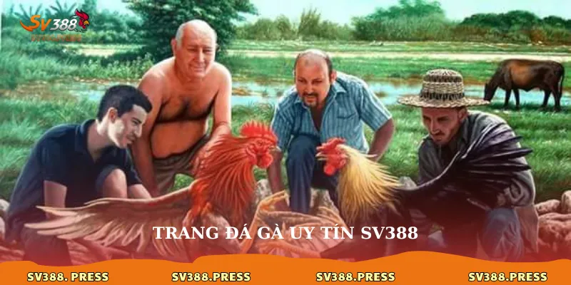 Trang đá gà uy tín sv388: Lựa chọn hàng đầu cho đam mê kê 1 trang-da-ga-uy-tin-sv388